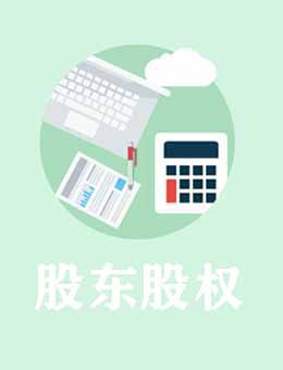 股東/股權/